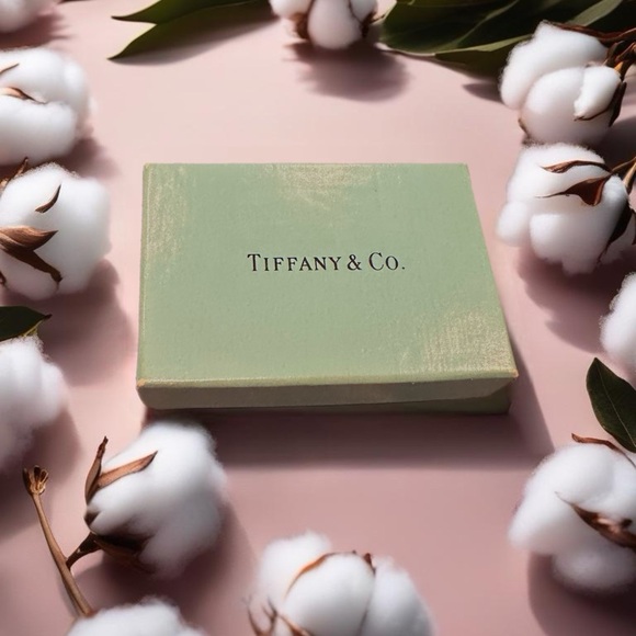 ✨ Tiffany & Co. Silver Rope Bracelet – Classic Elegance – Timeless & Chic! ✨ - Picture 2 of 3